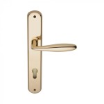 Handle on Door Plate in Brass Alise Reguitti