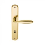 Handle on Door Plate in Brass Alise Reguitti